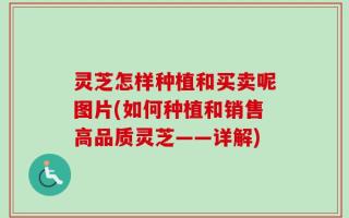 灵芝怎样种植和买卖呢图片(如何种植和销售高品质灵芝——详解)