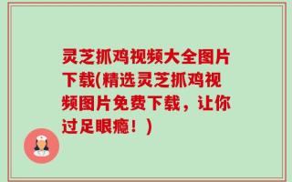 灵芝抓鸡视频大全图片下载(精选灵芝抓鸡视频图片免费下载，让你过足眼瘾！)