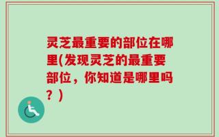 灵芝最重要的部位在哪里(发现灵芝的最重要部位，你知道是哪里吗？)