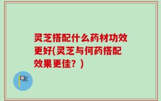 灵芝搭配什么药材功效更好(灵芝与何药搭配效果更佳？)