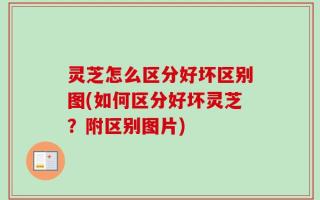 灵芝怎么区分好坏区别图(如何区分好坏灵芝？附区别图片)