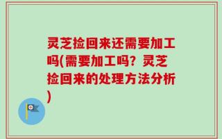 灵芝捡回来还需要加工吗(需要加工吗？灵芝捡回来的处理方法分析)