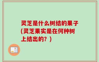 灵芝是什么树结的果子(灵芝果实是在何种树上结出的？)