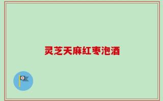 灵芝天麻红枣泡酒