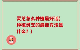 灵芝怎么种植最好活(种植灵芝的最佳方法是什么？)