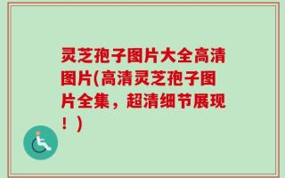 灵芝孢子图片大全高清图片(高清灵芝孢子图片全集，超清细节展现！)