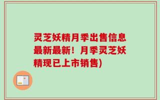 灵芝妖精月季出售信息最新最新！月季灵芝妖精现已上市销售)