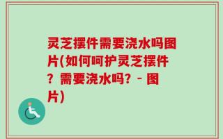 灵芝摆件需要浇水吗图片(如何呵护灵芝摆件？需要浇水吗？- 图片)
