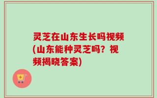 灵芝在山东生长吗视频(山东能种灵芝吗？视频揭晓答案)