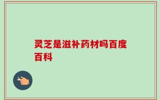 灵芝是滋补药材吗百度百科