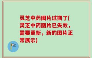 灵芝中药图片过期了(灵芝中药图片已失效，需要更新，新的图片正常展示)