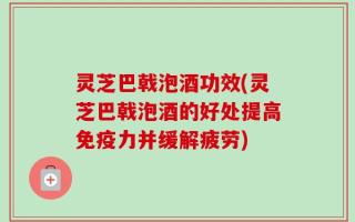 灵芝巴戟泡酒功效(灵芝巴戟泡酒的好处提高免疫力并缓解疲劳)