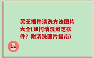 灵芝摆件清洗方法图片大全(如何清洗灵芝摆件？附清洗图片指南)