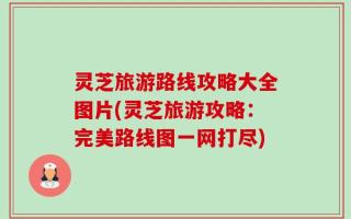 灵芝旅游路线攻略大全图片(灵芝旅游攻略：完美路线图一网打尽)