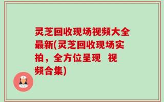 灵芝回收现场视频大全最新(灵芝回收现场实拍，全方位呈现  视频合集)
