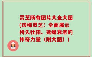 灵芝所有图片大全大图(珍稀灵芝：全面展示持久壮阳、延缓衰老的神奇力量（附大图）)