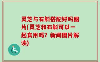 灵芝与石斛搭配好吗图片(灵芝和石斛可以一起食用吗？新闻图片解读)
