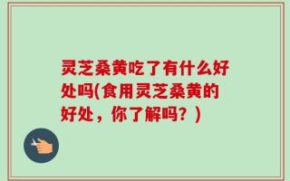 灵芝桑黄吃了有什么好处吗(食用灵芝桑黄的好处，你了解吗？)
