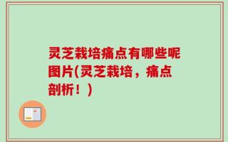 灵芝栽培痛点有哪些呢图片(灵芝栽培，痛点剖析！)