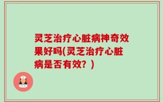 灵芝治疗心脏病神奇效果好吗(灵芝治疗心脏病是否有效？)