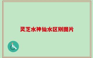 灵芝水神仙水区别图片