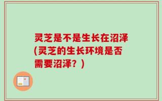 灵芝是不是生长在沼泽(灵芝的生长环境是否需要沼泽？)