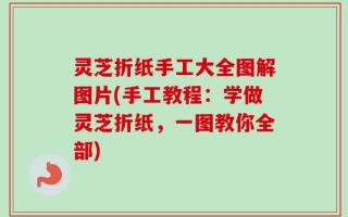 灵芝折纸手工大全图解图片(手工教程：学做灵芝折纸，一图教你全部)