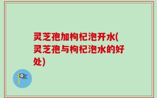 灵芝孢加枸杞泡开水(灵芝孢与枸杞泡水的好处)