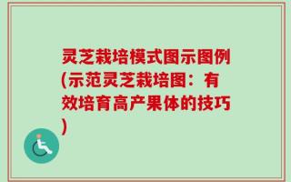 灵芝栽培模式图示图例(示范灵芝栽培图：有效培育高产果体的技巧)