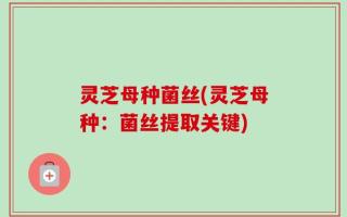 灵芝母种菌丝(灵芝母种：菌丝提取关键)