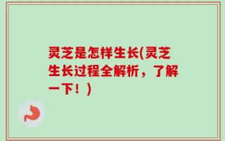 灵芝是怎样生长(灵芝生长过程全解析，了解一下！)