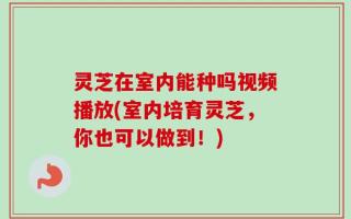 灵芝在室内能种吗视频播放(室内培育灵芝，你也可以做到！)
