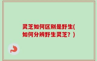 灵芝如何区别是野生(如何分辨野生灵芝？)