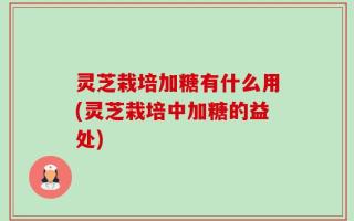 灵芝栽培加糖有什么用(灵芝栽培中加糖的益处)