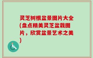 灵芝树根盆景图片大全(盘点精美灵芝盆栽图片，欣赏盆景艺术之美)