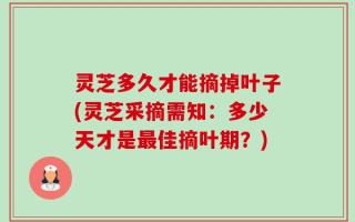 灵芝多久才能摘掉叶子(灵芝采摘需知：多少天才是最佳摘叶期？)