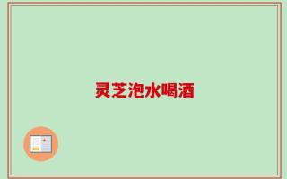 灵芝泡水喝酒