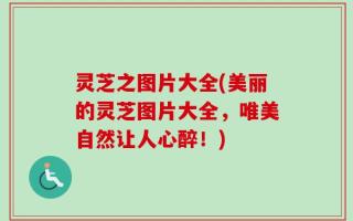 灵芝之图片大全(美丽的灵芝图片大全，唯美自然让人心醉！)