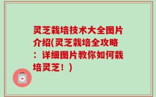 灵芝栽培技术大全图片介绍(灵芝栽培全攻略：详细图片教你如何栽培灵芝！)