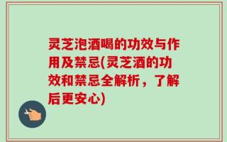 灵芝泡酒喝的功效与作用及禁忌(灵芝酒的功效和禁忌全解析，了解后更安心)