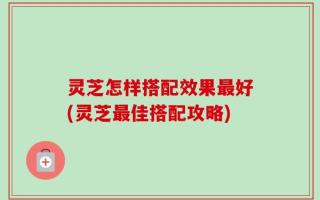 灵芝怎样搭配效果最好(灵芝最佳搭配攻略)