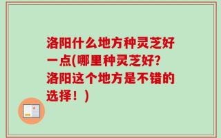 洛阳什么地方种灵芝好一点(哪里种灵芝好？洛阳这个地方是不错的选择！)
