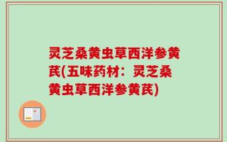 灵芝桑黄虫草西洋参黄芪(五味药材：灵芝桑黄虫草西洋参黄芪)