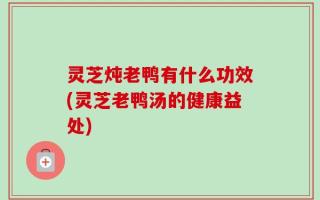 灵芝炖老鸭有什么功效(灵芝老鸭汤的健康益处)