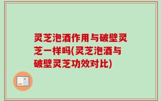 灵芝泡酒作用与破壁灵芝一样吗(灵芝泡酒与破壁灵芝功效对比)