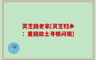 灵芝回老家(灵芝归乡：重回故土寻根问祖)