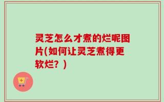 灵芝怎么才煮的烂呢图片(如何让灵芝煮得更软烂？)