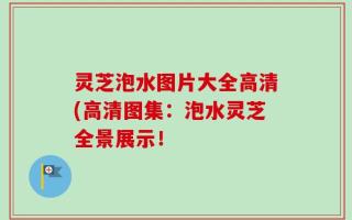 灵芝泡水图片大全高清(高清图集：泡水灵芝全景展示！
