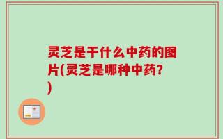 灵芝是干什么中药的图片(灵芝是哪种中药？)