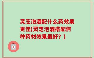 灵芝泡酒配什么药效果更佳(灵芝泡酒搭配何种药材效果最好？)